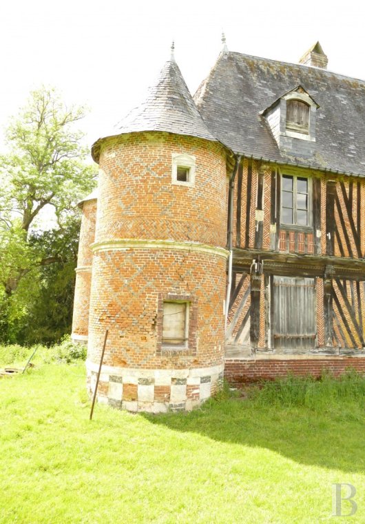 France mansions for sale upper normandy   - 3