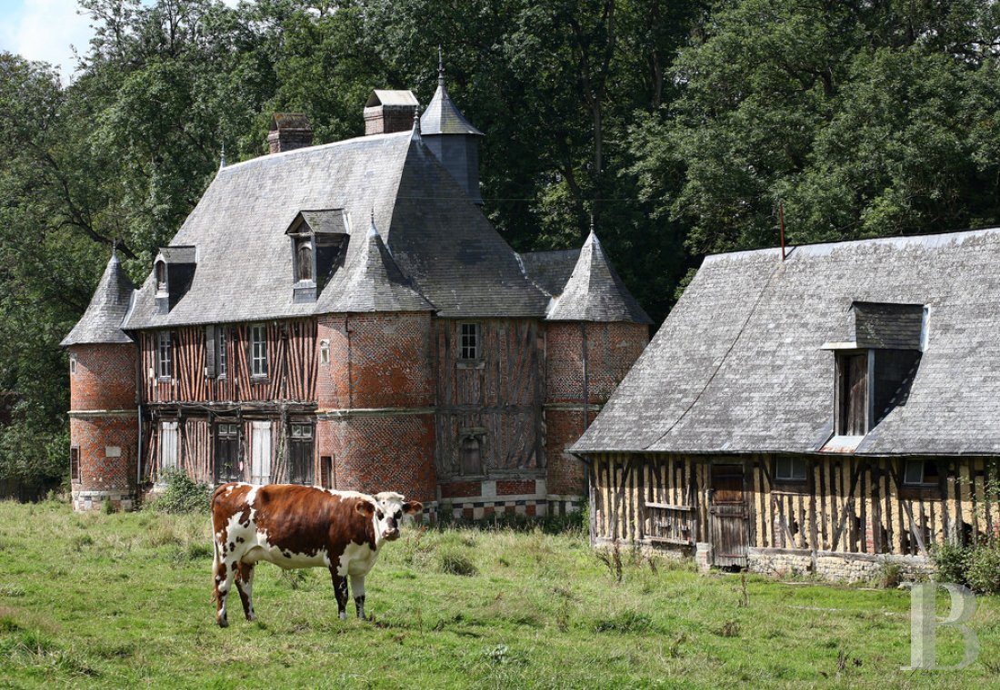 France mansions for sale upper normandy   - 1