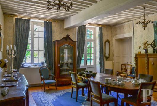 chateaux for sale France auvergne   - 10
