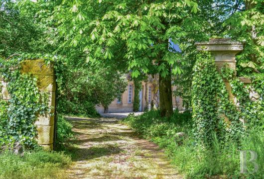 chateaux for sale France auvergne   - 16