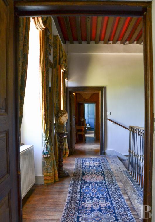 chateaux for sale France auvergne   - 13