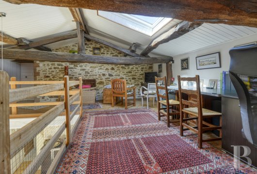 maisons de caractere a vendre pays de loire   - 8