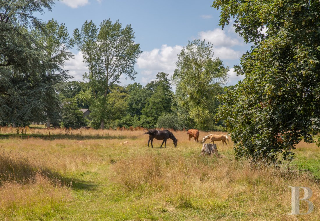 France mansions for sale lower normandy   - 23