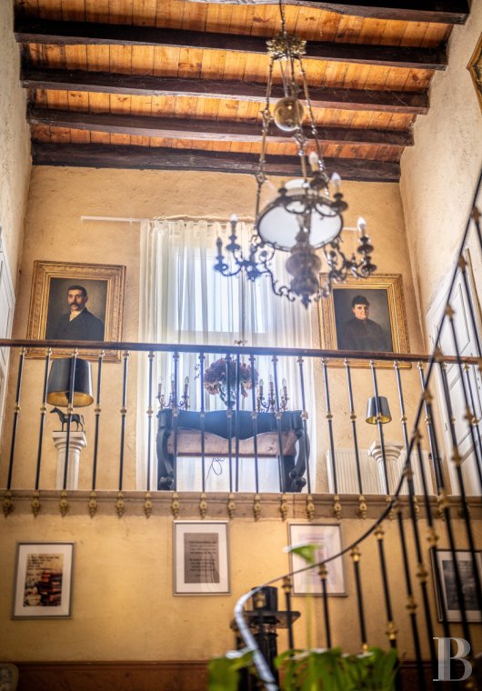 France mansions for sale midi pyrenees   - 10