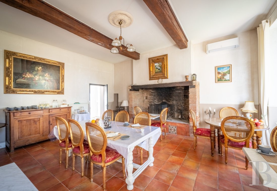 France mansions for sale midi pyrenees   - 16