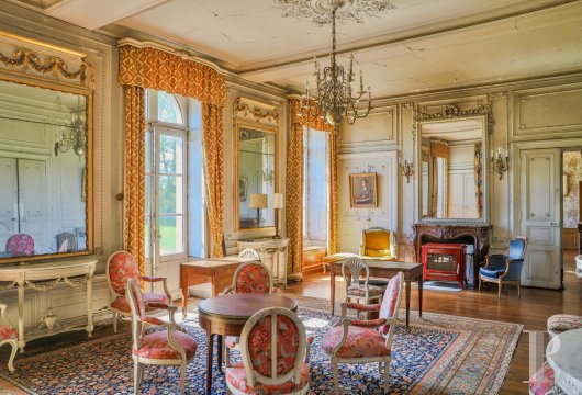 chateaux for sale France pays de loire   - 8