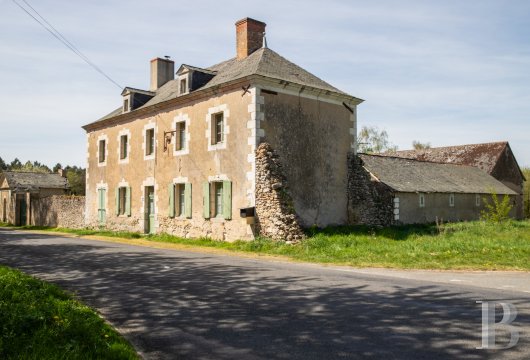 chateaux for sale France pays de loire   - 20