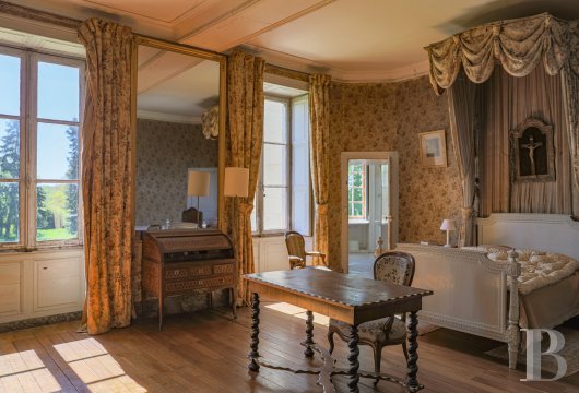 chateaux for sale France pays de loire   - 16