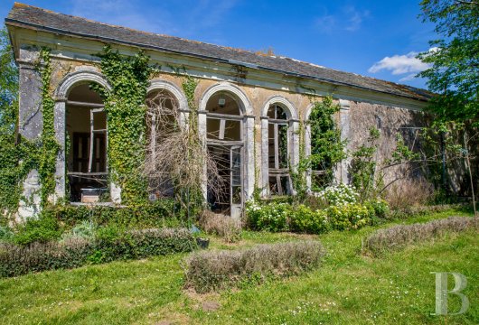 chateaux for sale France pays de loire   - 24