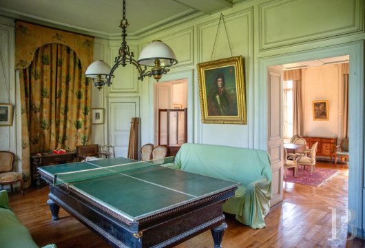 chateaux for sale France pays de loire   - 13