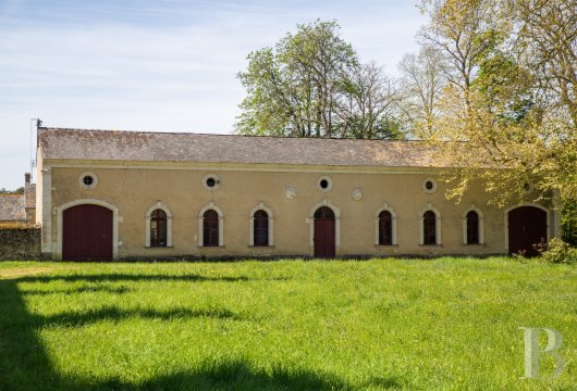 chateaux for sale France pays de loire   - 21