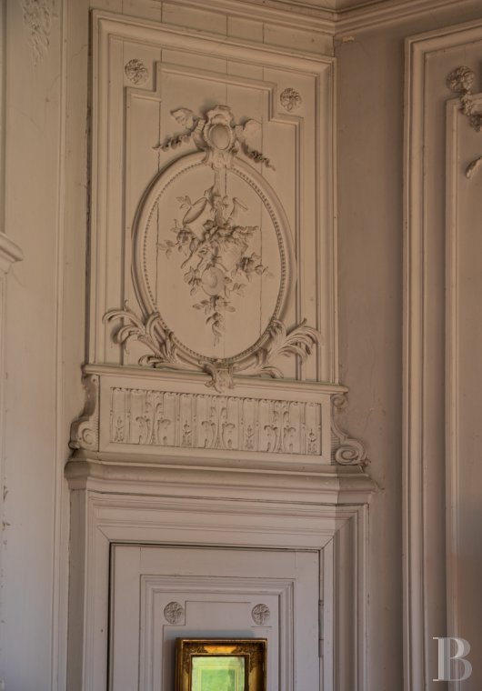 chateaux for sale France pays de loire   - 9