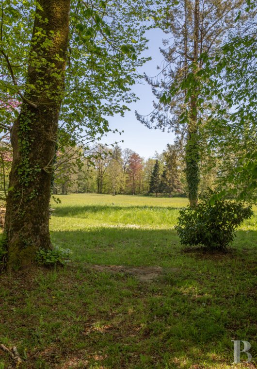 chateaux for sale France pays de loire   - 23