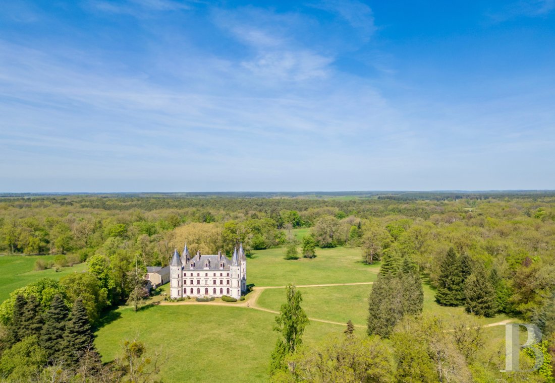 chateaux for sale France pays de loire   - 26