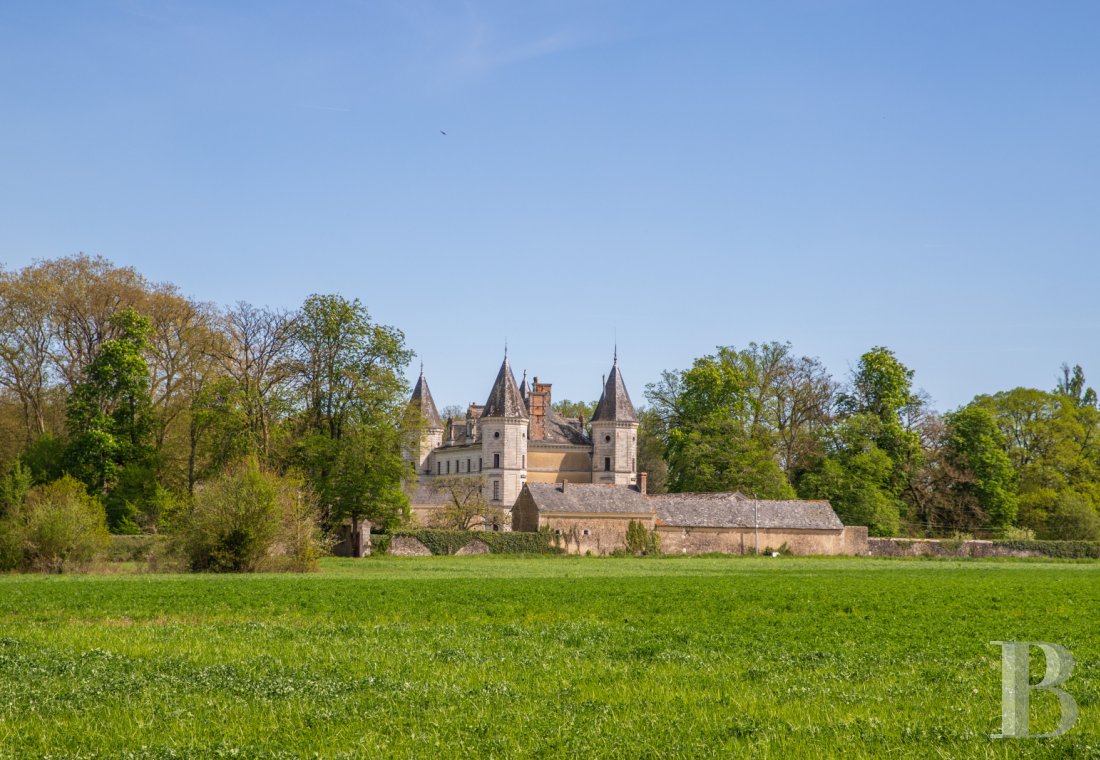 chateaux for sale France pays de loire   - 2