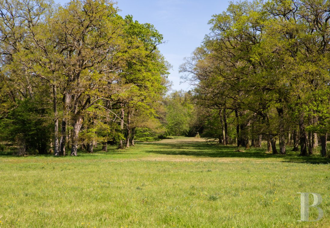 chateaux for sale France pays de loire   - 25