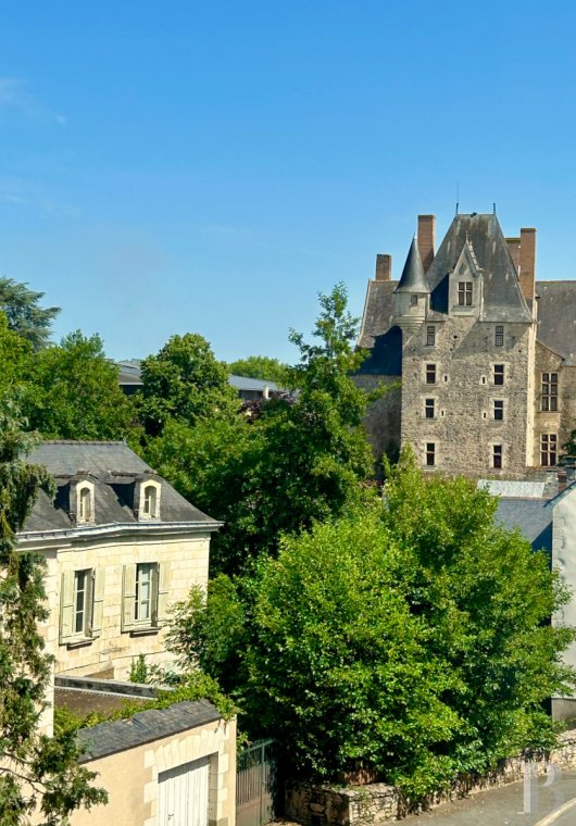 mansion houses for sale France pays de loire   - 12