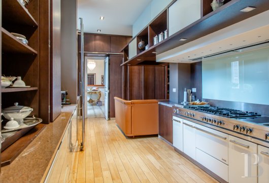 immobilier prestige ile de france   - 10