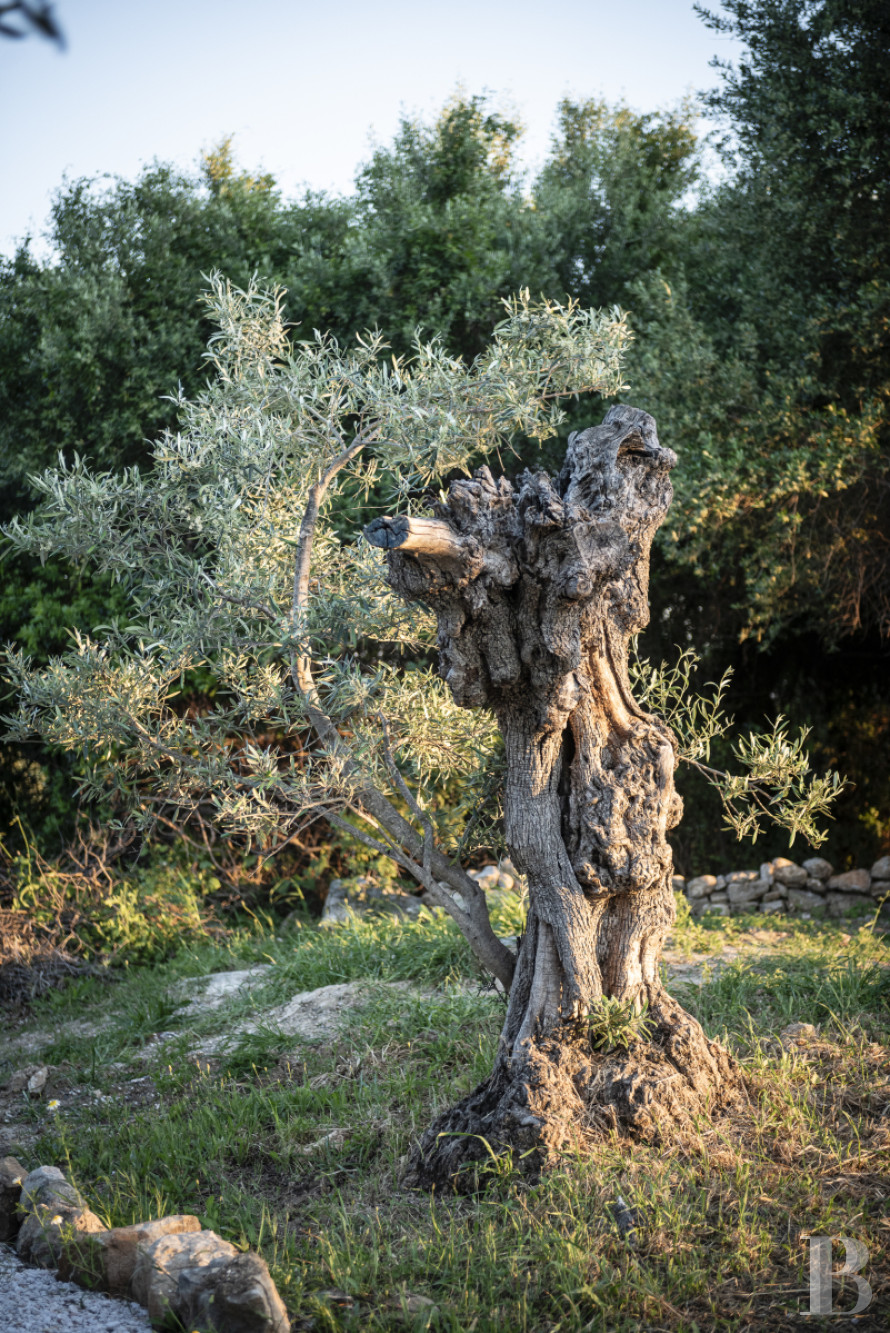 Au sud de l’Espagne, dans les montagnes de la Serrania de Ronda, une ancienne ferme andalouse transformée en hôtel-boutique - photo  n°37