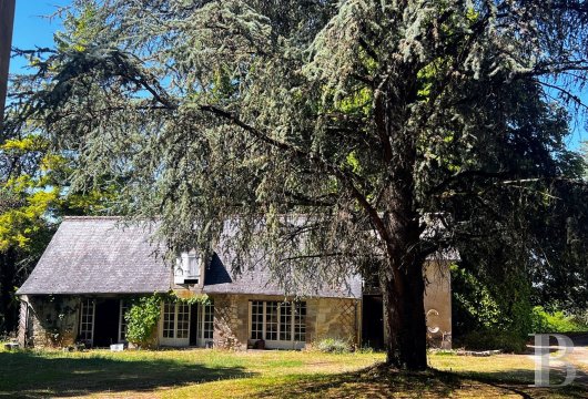 France mansions for sale center val de loire   - 17