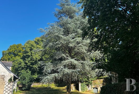 France mansions for sale center val de loire   - 19