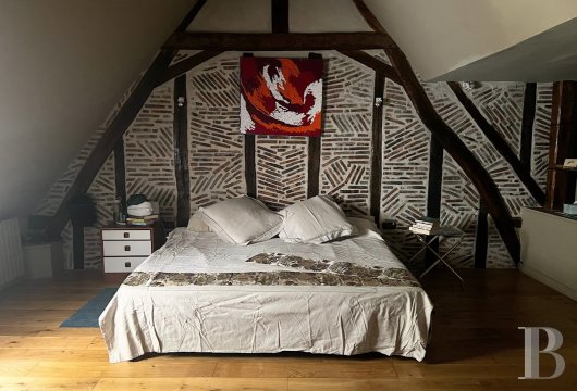 France mansions for sale center val de loire   - 15