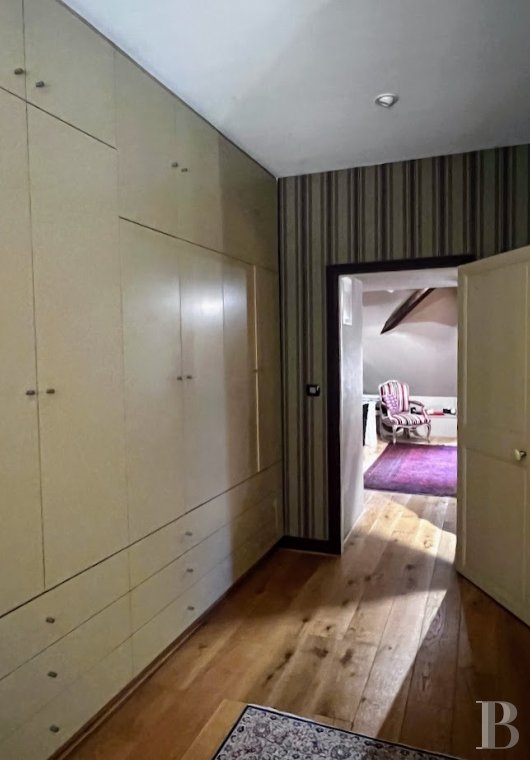 France mansions for sale center val de loire   - 12