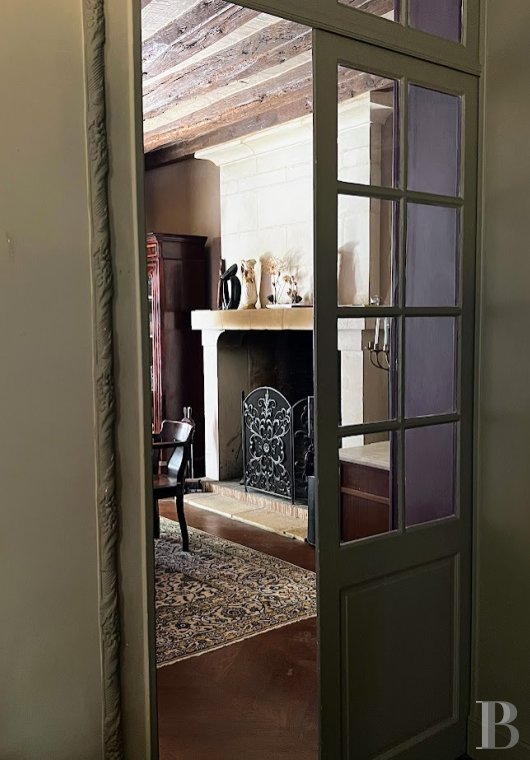 France mansions for sale center val de loire   - 7