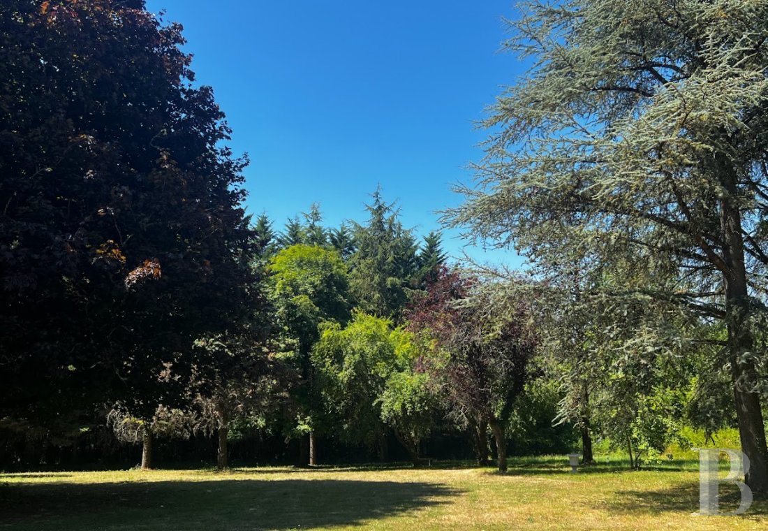 France mansions for sale center val de loire   - 21