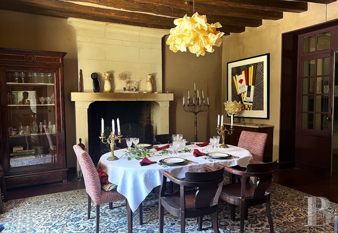 France mansions for sale center val de loire   - 3