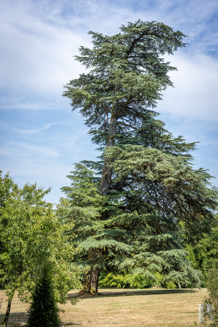 En Charente-Maritime, une demeure du 19e siècle d’inspiration arcachonnaise et son grand parc arboré - photo  n°5