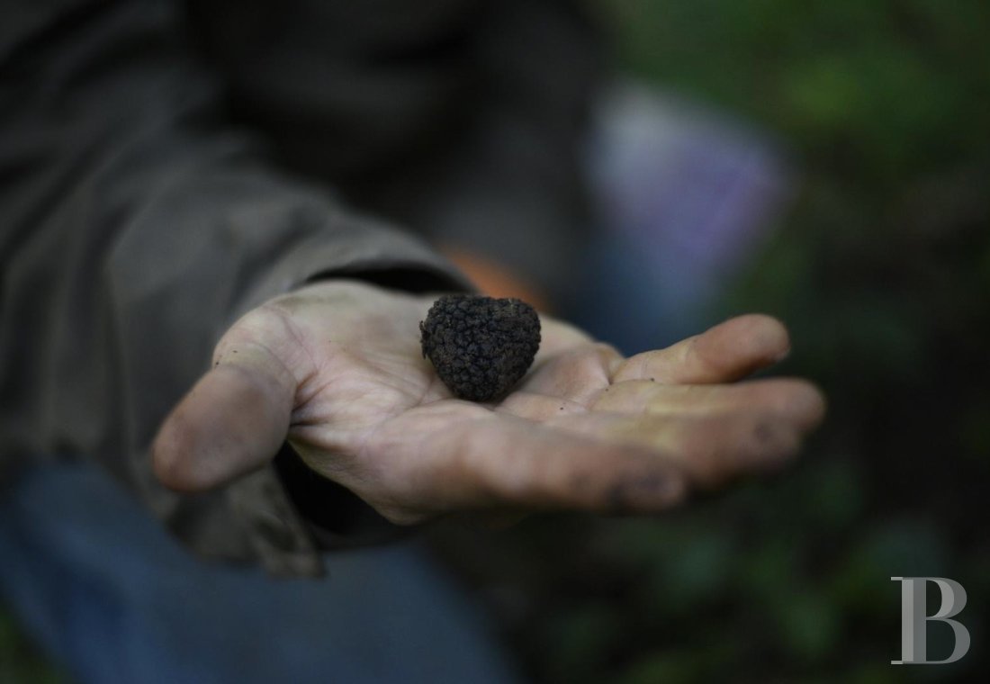 En Côte-d’Or, à l’est de Châtillon-sur-Seine, les dépendances d’un ancien château autour d’une vaste cour - photo  n°28