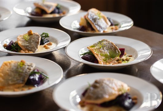 Dans le canton de Vaud, non loin des rives du lac de Neuchâtel, un château des 17e et 18e siècles rénové dans son état d’origine - photo  n°16