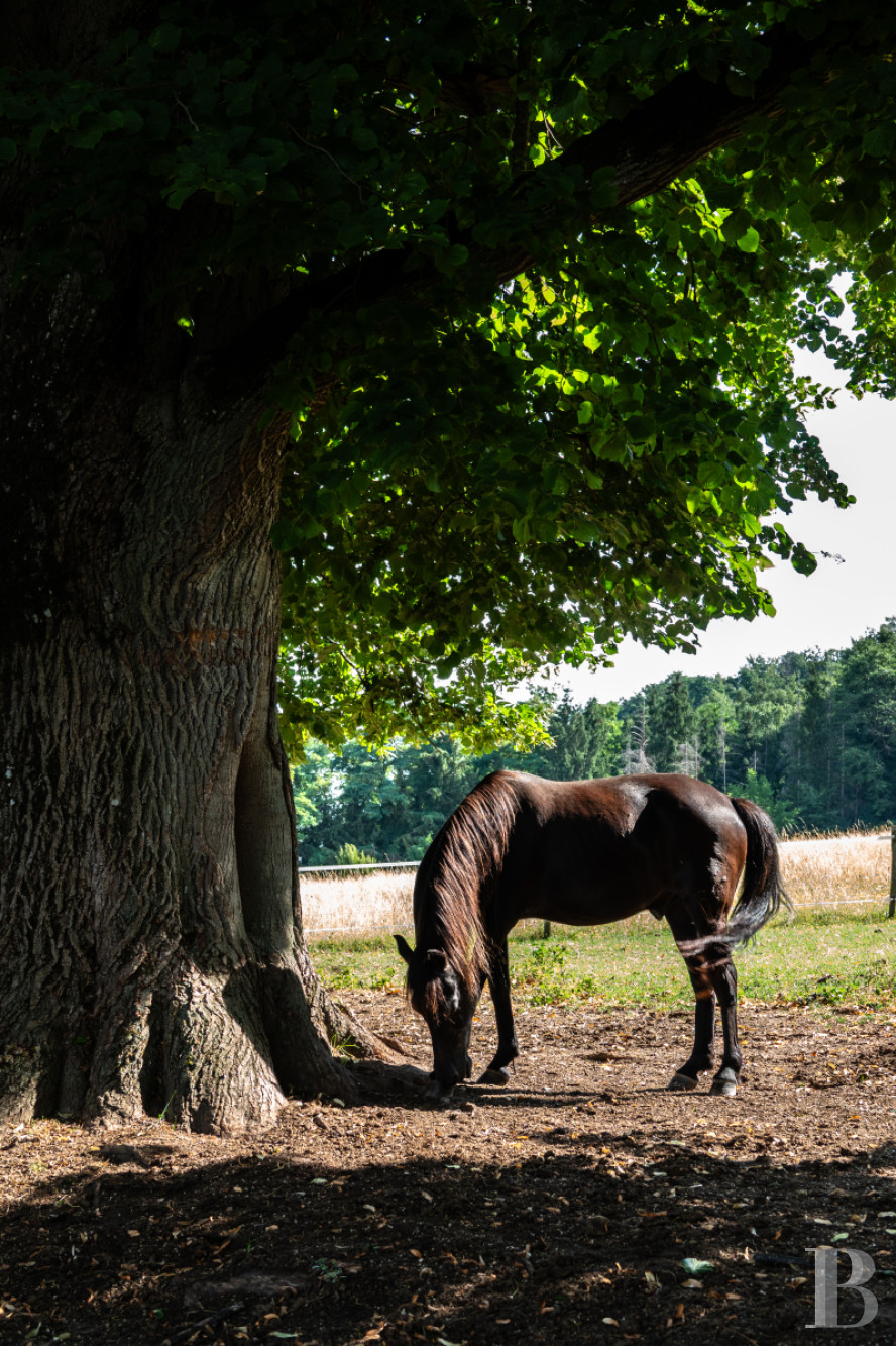 Dans le canton de Vaud, non loin des rives du lac de Neuchâtel, un château des 17e et 18e siècles rénové dans son état d’origine - photo  n°39
