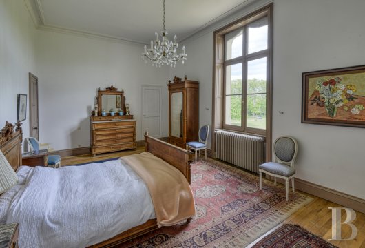 chateaux for sale France pays de loire   - 9