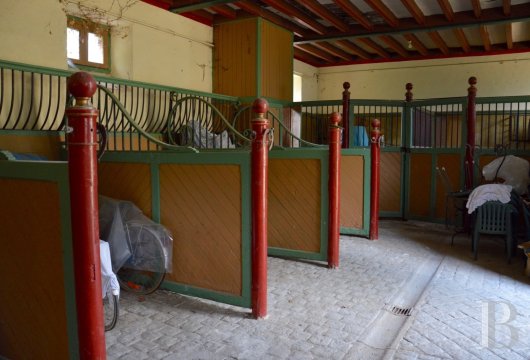 chateaux a vendre pays de loire   - 12