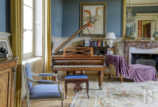 chateaux for sale France pays de loire   - 4