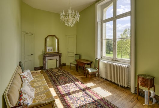 chateaux for sale France pays de loire   - 7