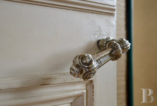 chateaux a vendre pays de loire   - 8