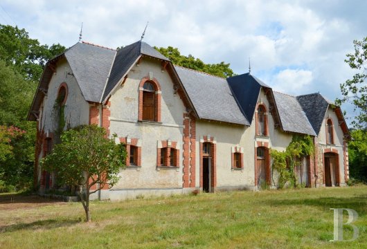 chateaux a vendre pays de loire   - 13