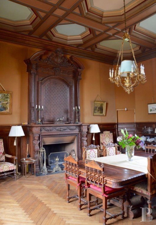 chateaux a vendre pays de loire   - 5