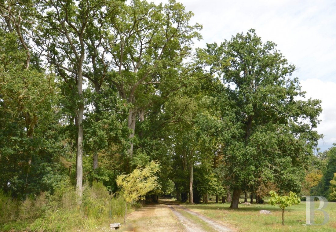 chateaux a vendre pays de loire   - 15