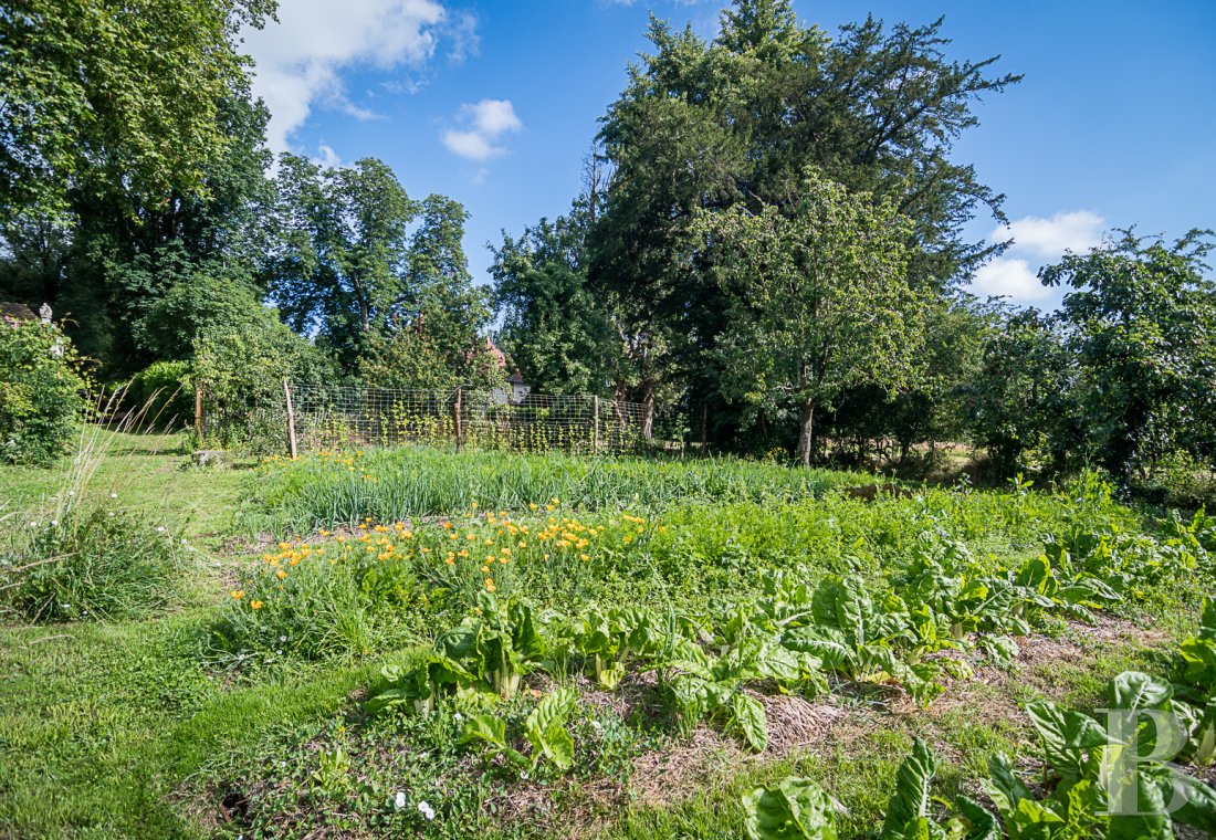 Dans les Deux-Sèvres, au cœur du Poitou, un vaste domaine dédié au maraîchage, à l’artisanat et à la villégiature dans un esprit participatif - photo  n°13