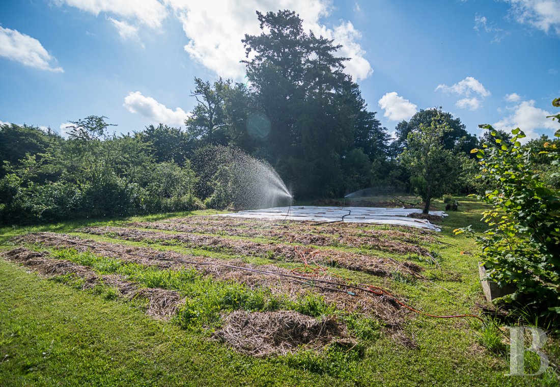 Dans les Deux-Sèvres, au cœur du Poitou, un vaste domaine dédié au maraîchage, à l’artisanat et à la villégiature dans un esprit participatif - photo  n°19