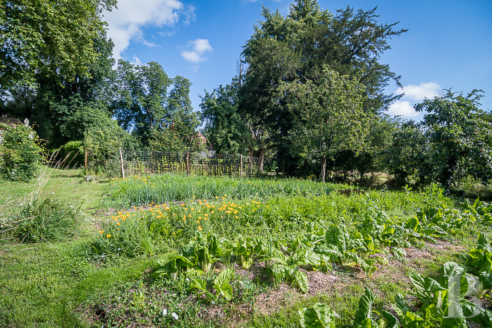 Dans les Deux-Sèvres, au cœur du Poitou, un vaste domaine dédié au maraîchage, à l’artisanat et à la villégiature dans un esprit participatif - photo  n°13