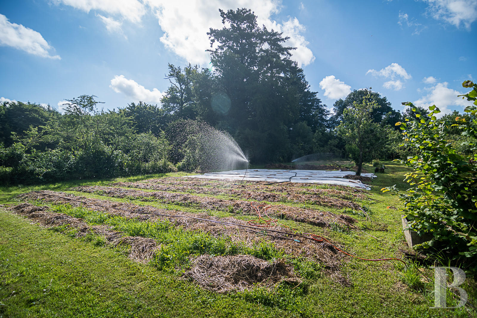 Dans les Deux-Sèvres, au cœur du Poitou, un vaste domaine dédié au maraîchage, à l’artisanat et à la villégiature dans un esprit participatif - photo  n°19