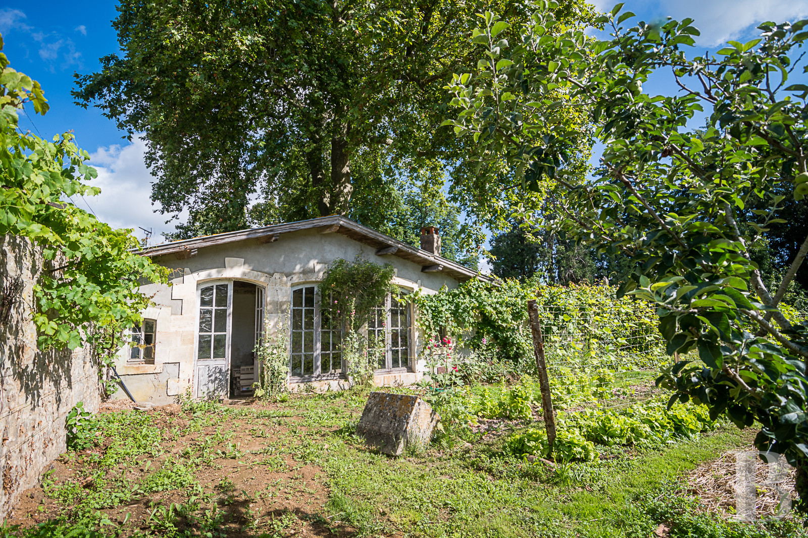 Dans les Deux-Sèvres, au cœur du Poitou, un vaste domaine dédié au maraîchage, à l’artisanat et à la villégiature dans un esprit participatif - photo  n°16