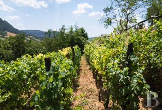 character properties France languedoc roussillon   - 20