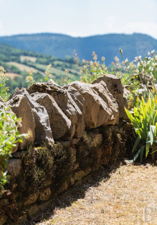 character properties France languedoc roussillon   - 19