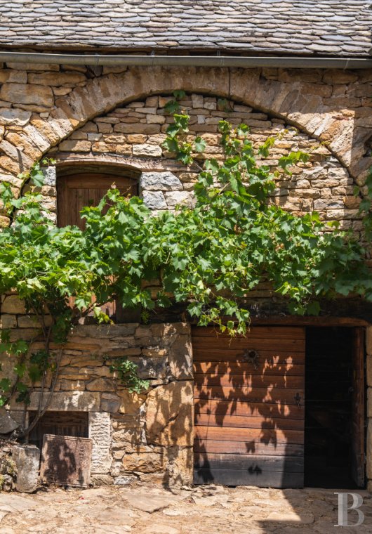 character properties France languedoc roussillon   - 6